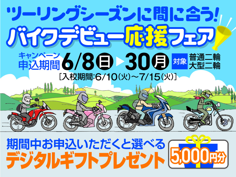 写真：