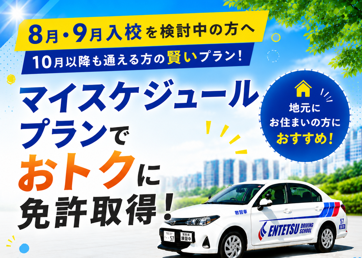 マイスケ夏訴求
